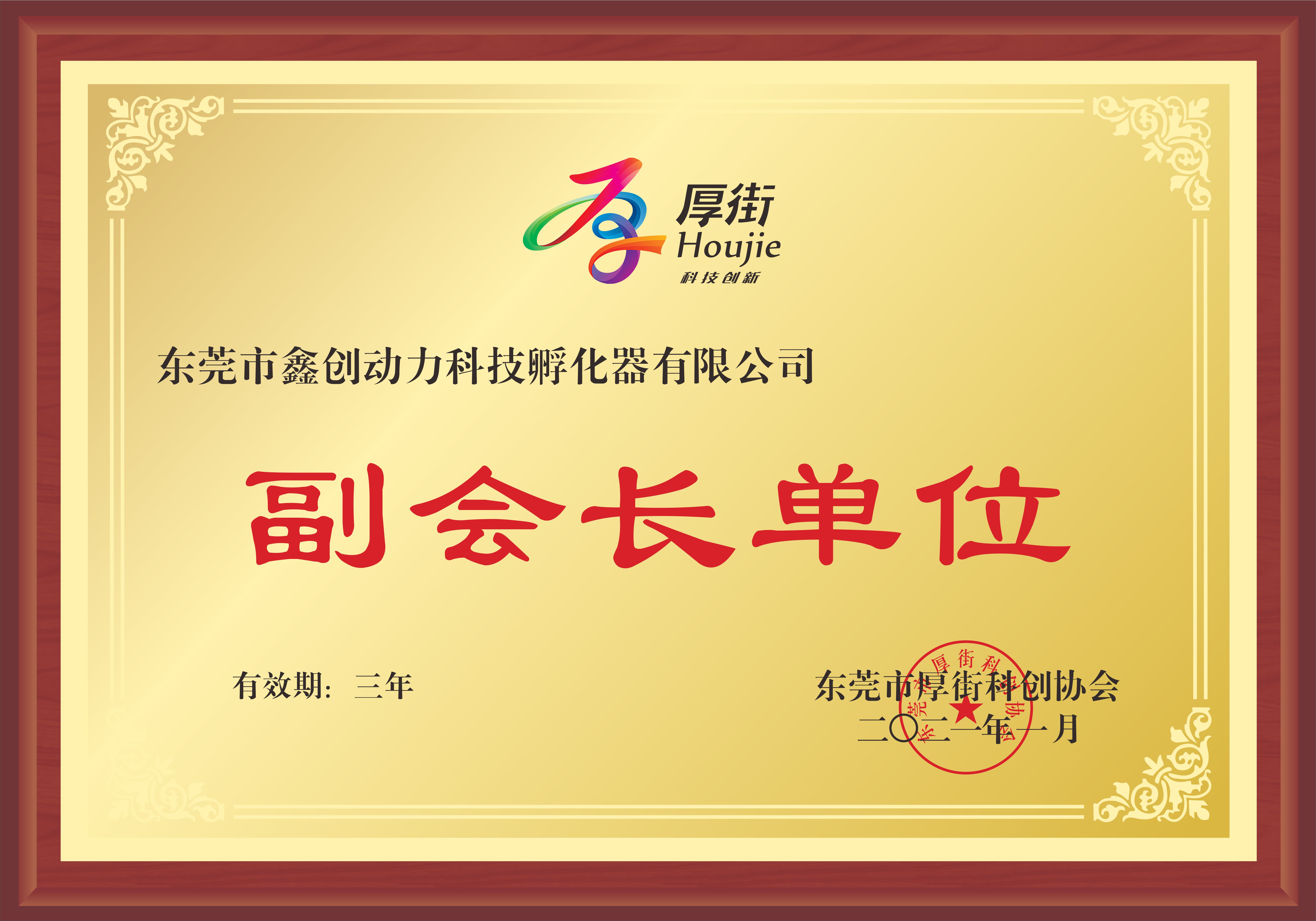 東莞市厚街科創(chuàng)協(xié)會(huì)副會(huì)長